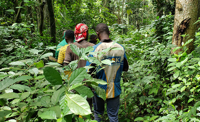En mission de placement de 10 hectares de forêt à NKOTENG 